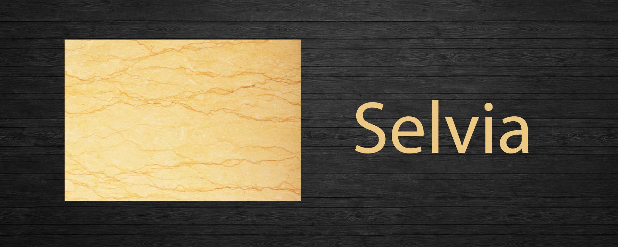 SELVIA